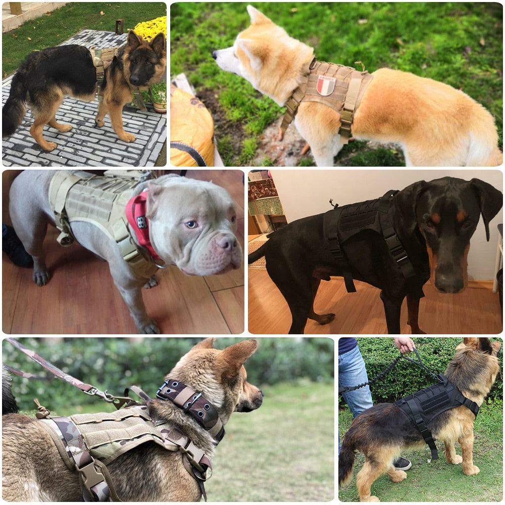 Tactical Dog Harness