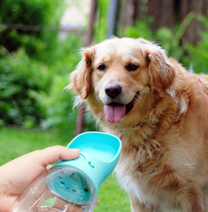 Portable Pet Water Bottle for Dog and Cat