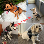 Load image into Gallery viewer, Personalized NO-PULL Dog Harness
