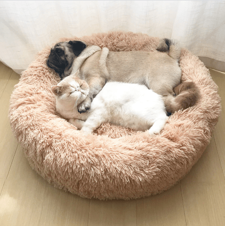 Comfy Pet Bed for Dog / Cat ALL SIZES - PawOfFun