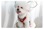 Load image into Gallery viewer, Small Dog Harness and Leash Set
