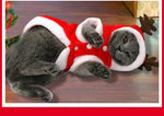 Load image into Gallery viewer, Christmas Pet Clothes for Small Dogs Cats - PawOfFun
