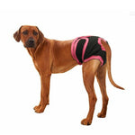 Load image into Gallery viewer, Dog Underwear Pant | Diaper ALL SIZES - PawOfFun
