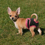 Load image into Gallery viewer, Dog Underwear Pant | Diaper ALL SIZES - PawOfFun
