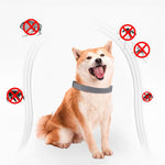 Load image into Gallery viewer, Adjustable Anti Flea &amp; Tick Collar for Dogs Cats - PawOfFun
