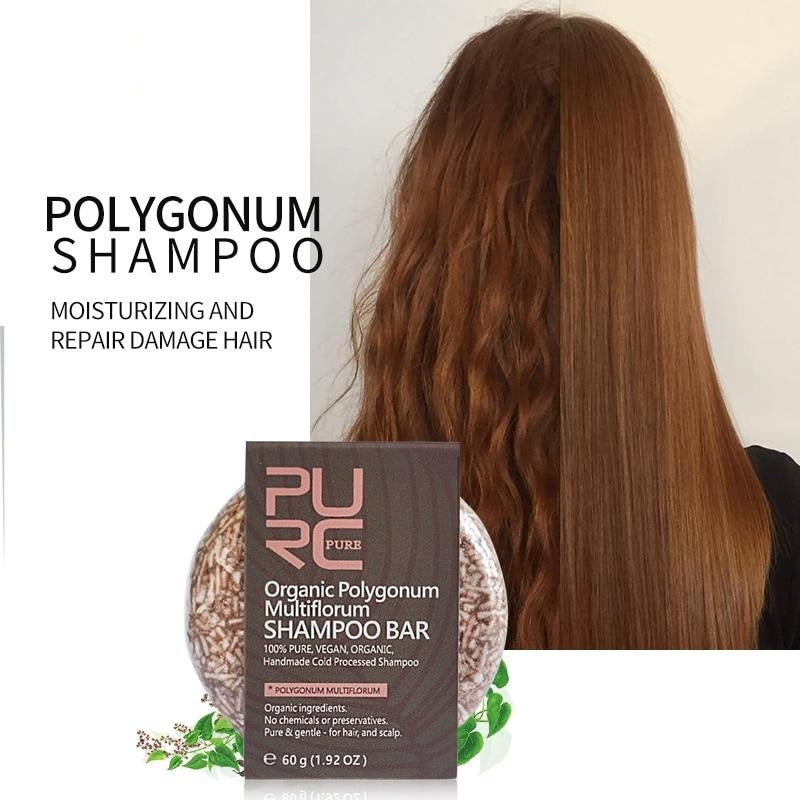 Organic Polygonum Shampoo Bar