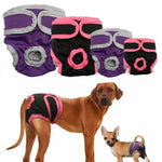 Load image into Gallery viewer, Dog Underwear Pant | Diaper ALL SIZES - PawOfFun
