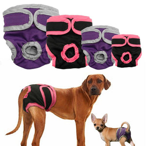 Dog Underwear Pant | Diaper ALL SIZES - PawOfFun