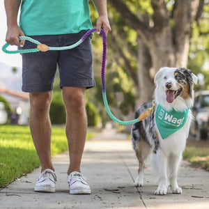 150cm Dog Leash | Round Cotton Lead Rope - PawOfFun