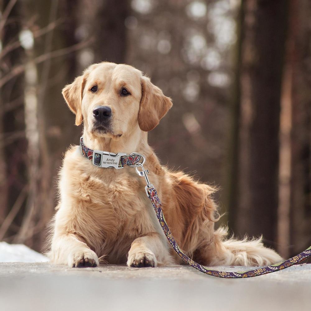 Custom Dog Collar and Leash Set - PawOfFun