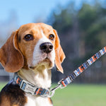 Load image into Gallery viewer, Custom Dog Collar and Leash Set - PawOfFun
