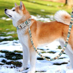 Load image into Gallery viewer, Custom Dog Collar and Leash Set - PawOfFun
