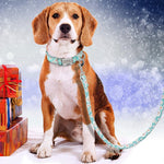 Load image into Gallery viewer, Custom Dog Collar and Leash Set - PawOfFun
