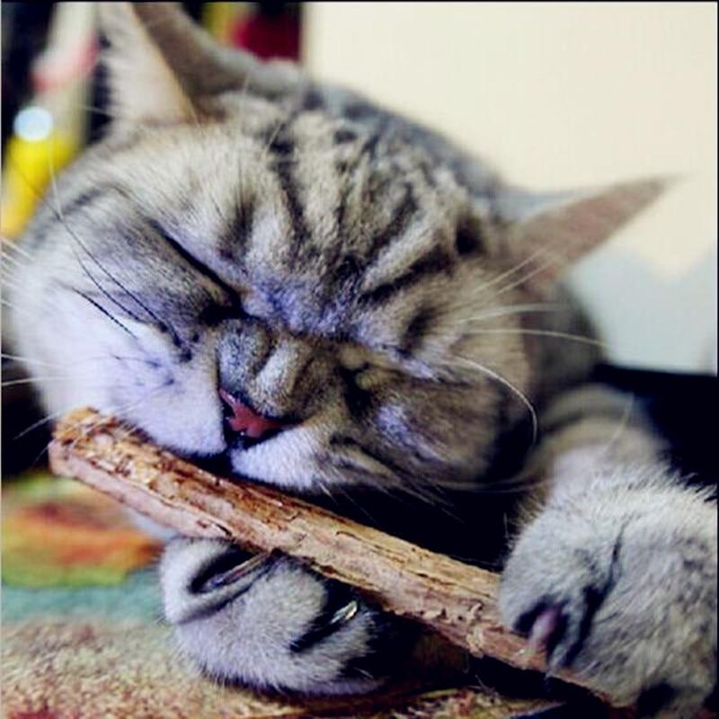 5PCs Cat Chew Sticks For Teeth Cleaning with Natural Catnip - PawOfFun