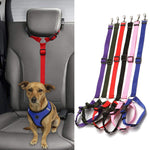 Load image into Gallery viewer, Adjustable Dog Seat Belt Harness Leash - PawOfFun
