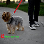 Load image into Gallery viewer, Adjustable Dog Seat Belt Harness Leash - PawOfFun
