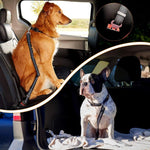 Load image into Gallery viewer, Adjustable Dog Seat Belt Harness Leash - PawOfFun
