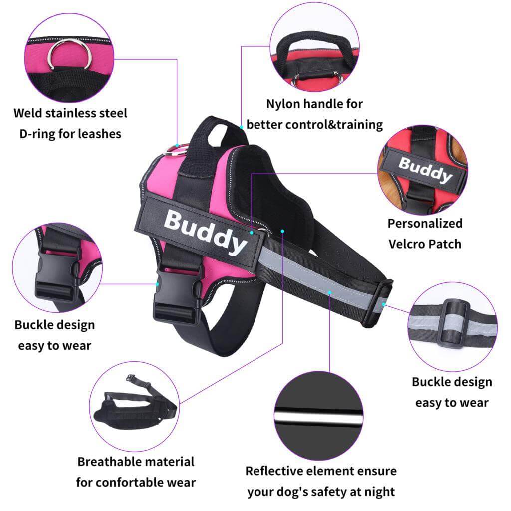 Personalized NO-PULL Dog Harness