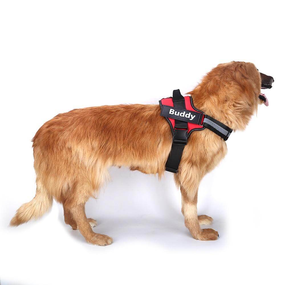 Personalized NO-PULL Dog Harness