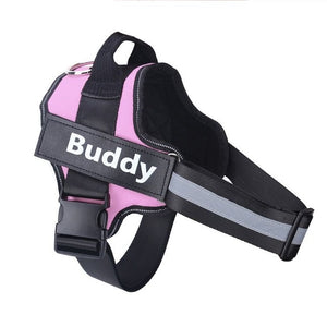 Personalized NO-PULL Dog Harness