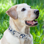 Load image into Gallery viewer, Custom Pet Collar Personalized For Dogs / Cats - PawOfFun
