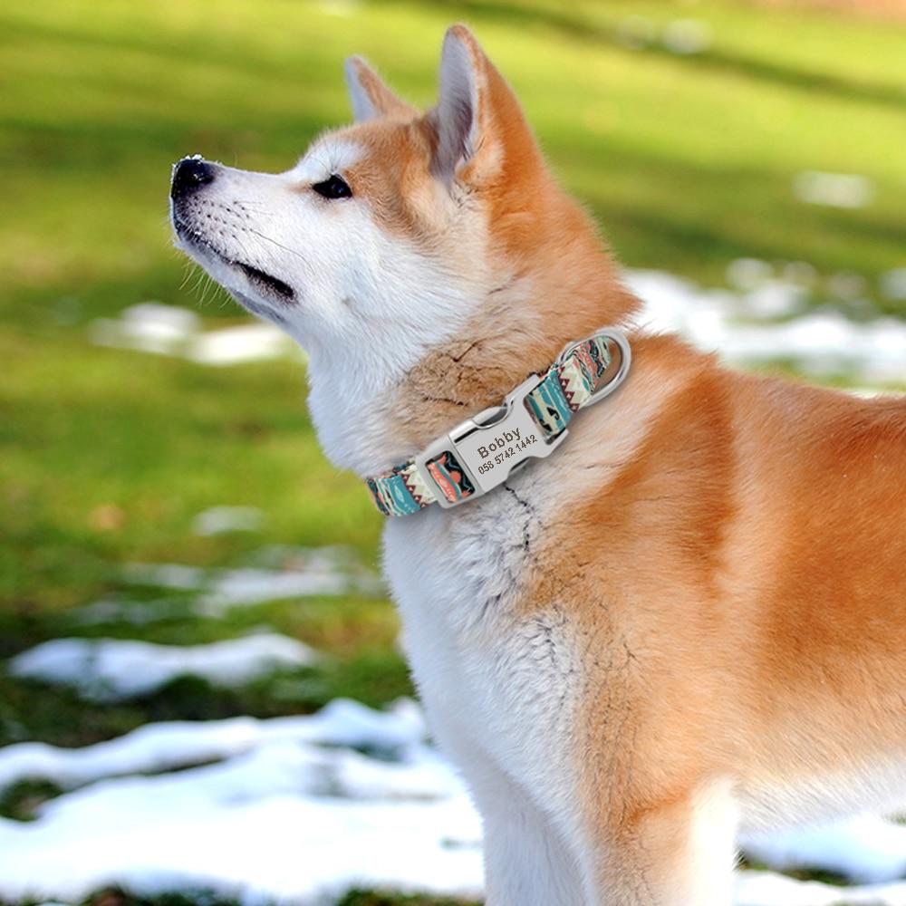 Custom Pet Collar Personalized For Dogs / Cats - PawOfFun