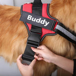 Load image into Gallery viewer, Personalized NO-PULL Dog Harness
