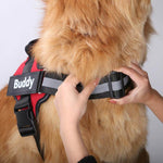 Load image into Gallery viewer, Personalized NO-PULL Dog Harness
