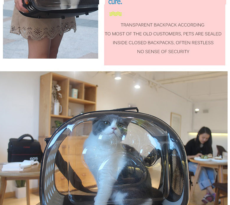 Transparent Pet Carrier