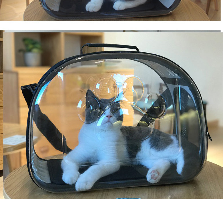 Transparent Pet Carrier