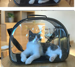 Load image into Gallery viewer, Transparent Pet Carrier
