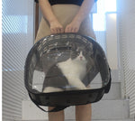 Load image into Gallery viewer, Transparent Pet Carrier
