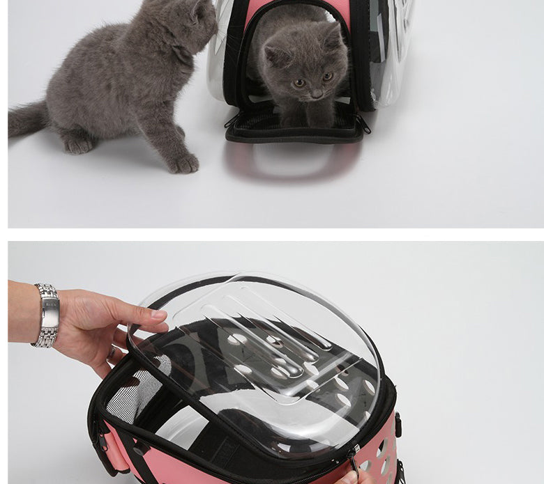 Transparent Pet Carrier