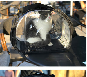 Transparent Pet Carrier