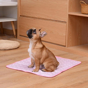 Pet Cooling Mat