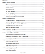 Load image into Gallery viewer, Dog Training Basics [Dog eBook PDF Instant Download] - PawOfFun

